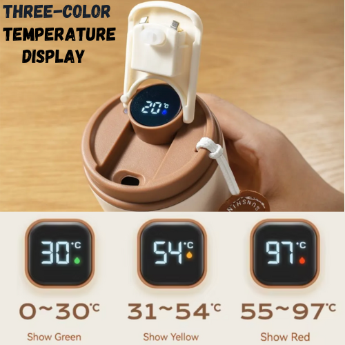 Digital Thermal Bottle